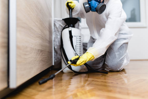 Best Rat Extermination Near Me  in Andalusia, IL