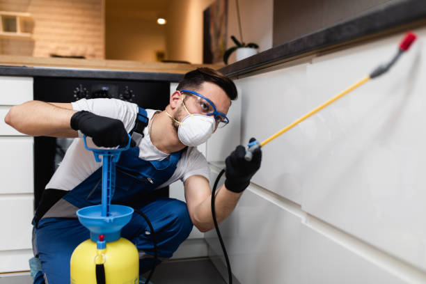 Best Pest Control Near Me in Andalusia, IL