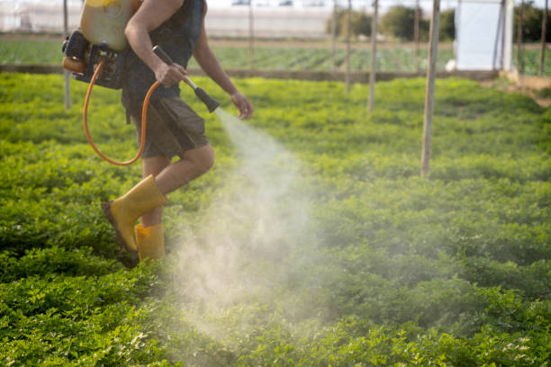 Best Emergency Pest Control  in Andalusia, IL
