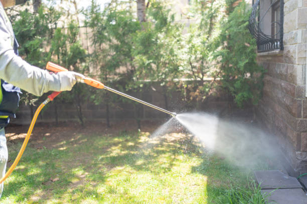 Best Pest Prevention Services  in Andalusia, IL