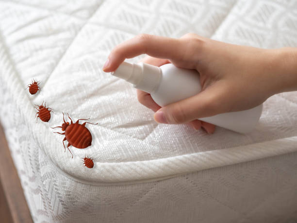Best Pest Prevention Services  in Andalusia, IL