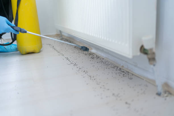 Andalusia, IL Pest Control Company