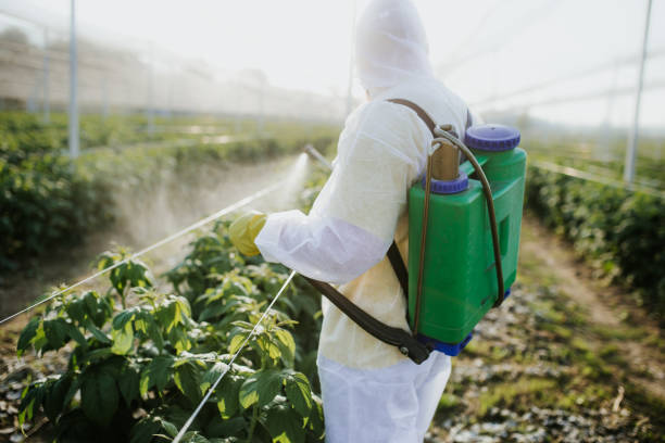 Pest Prevention Services in Andalusia, IL